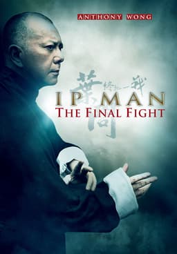 Ip man 3 hot sale full movie in english