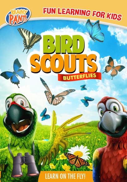 Bird Scouts: Butterflies