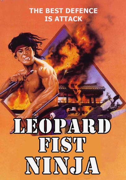 Leopard Fist Ninja (Español)