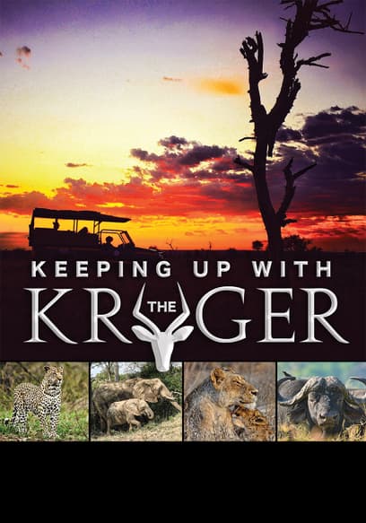 Keeping Up With the Kruger