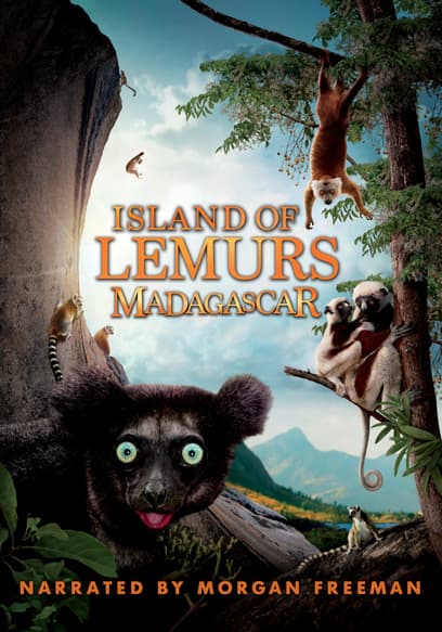 Island of Lemurs: Madagascar