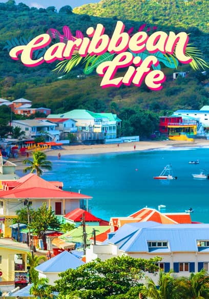 S02:E08 - Caribbean Life on St. Croix
