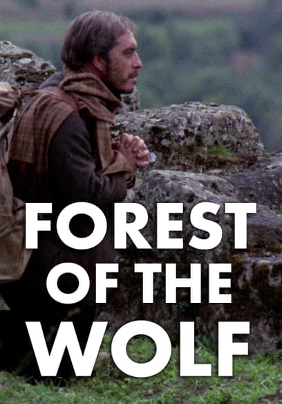 Forest of the Wolf