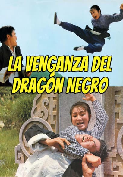 La Venganza Del Dragón Negro (Doblado)
