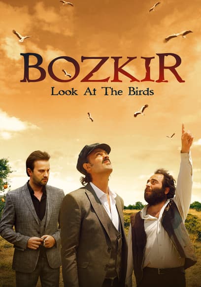 Bozkir: Look at the Birds