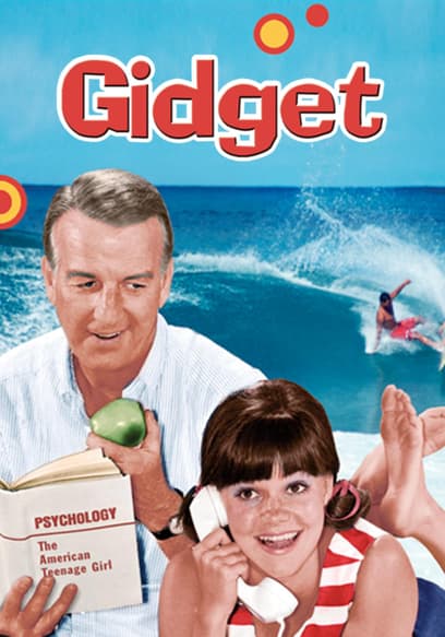 S01:E19 - Gidget's Career
