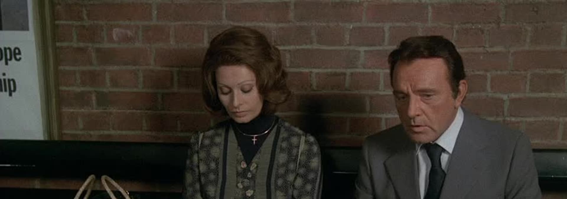 Watch Brief Encounter (1974) Free Movies Tubi