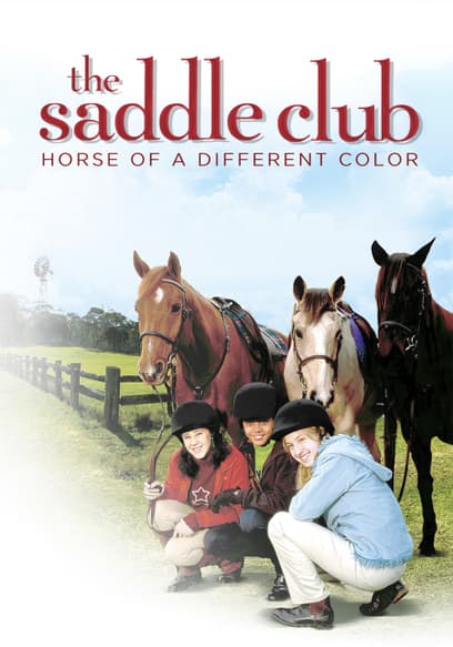Saddle Club: Horse of a Different Color