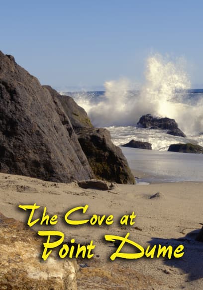 The Cove at Point Dume