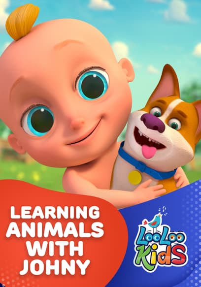 Learning Animals With Johny - LooLoo Kids