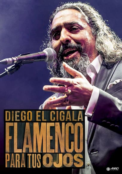 Flamenco Para Tus Ojos