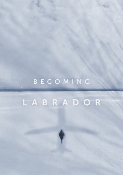 Becoming Labrador