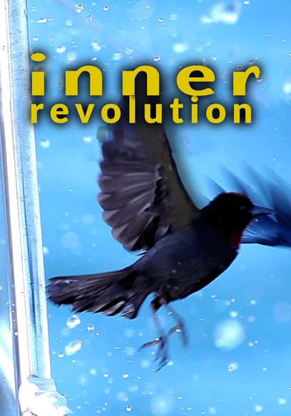 Inner Revolution