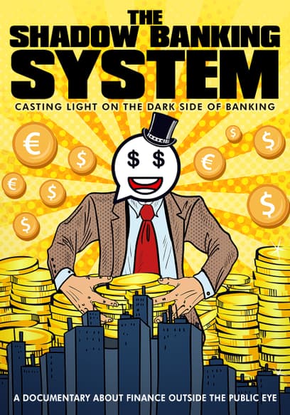 The Shadow Banking System