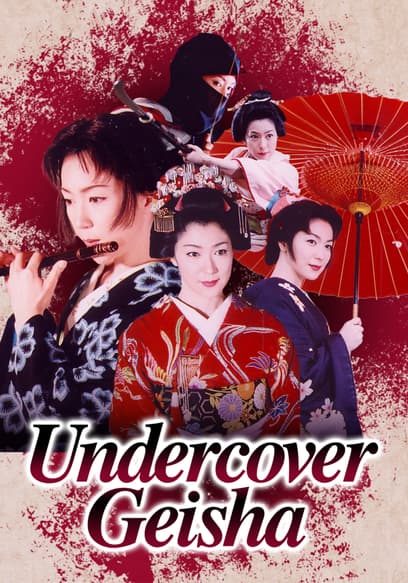 Undercover Geisha