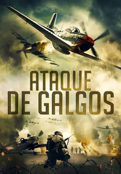 Ataque De Galgos (Doblado)