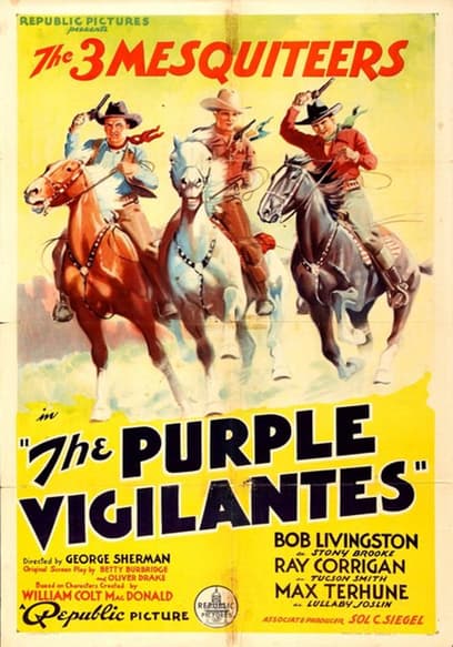 The Purple Vigilantes