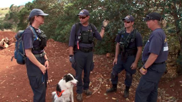 S01:E110 - K9 Rescue Unit