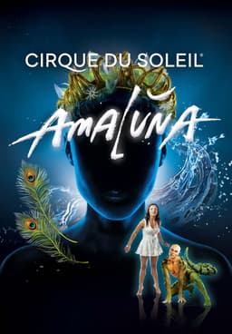 Watch Cirque Du Soleil Amaluna 2012 Free Movies Tubi