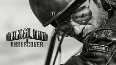 Watch Gangland Undercover - Free TV Shows | Tubi