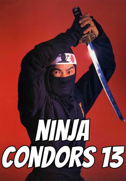 Ninja Condors 13 (Español)