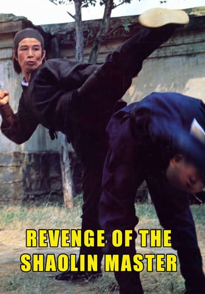 Revenge Of The Shaolin Master