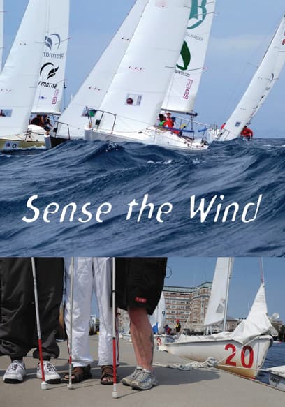 Sense the Wind
