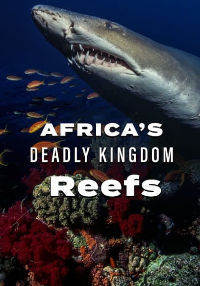 Africa’s Deadly Kingdom: Reefs