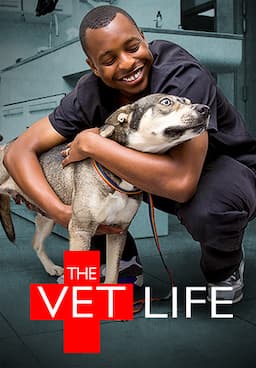 Watch The Vet Life Free TV Shows Tubi