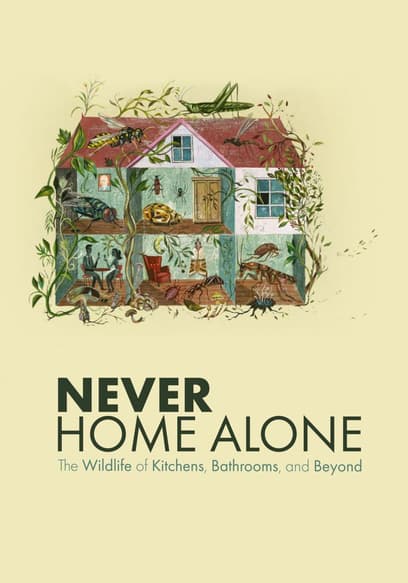 Never Home Alone: The Wildlife of Kitchens, Bathrooms, and Beyond
