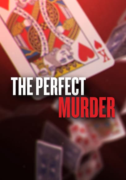 The Perfect Murder