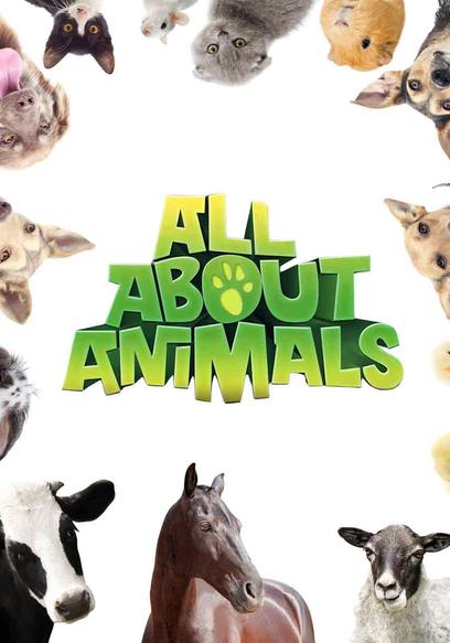 All About Animals