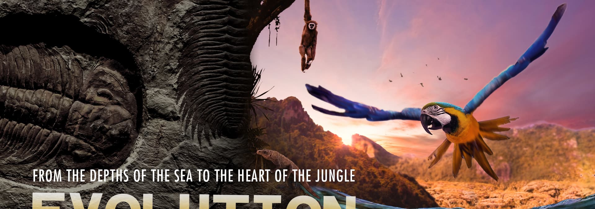 Watch Evolution (2018) - Free Movies | Tubi