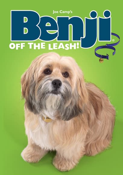 Benji: Off the Leash