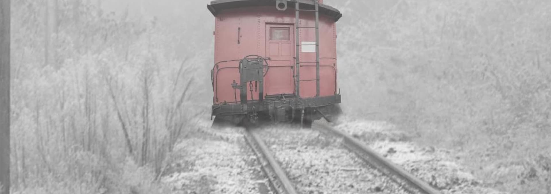 Watch The Death Train (2020) - Free Movies | Tubi