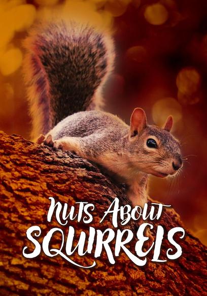 Nuts About Squirrels