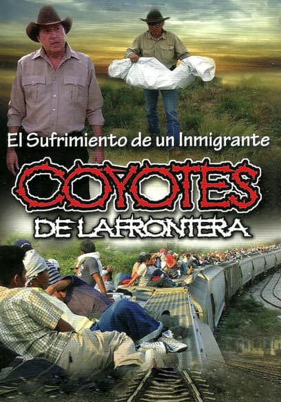 Coyotes De La Frontera