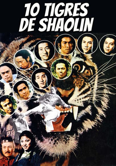 10 Tigres De Shaolin (Doblado)