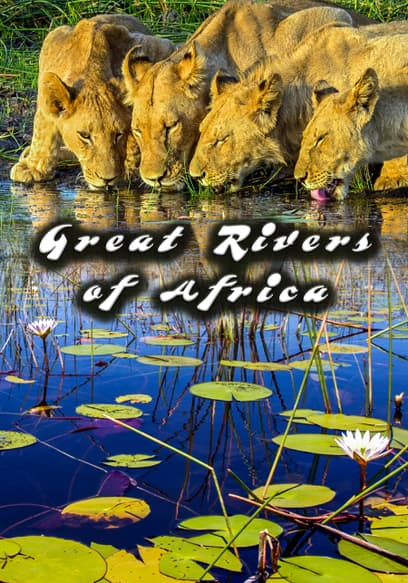S01:E05 - Limpopo: River of Giants