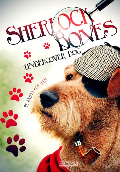 Sherlock Bones: Undercover Dog
