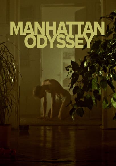 Manhattan Odyssey