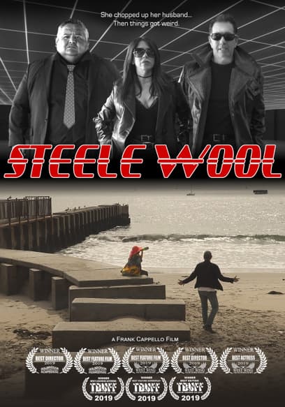 Steele Wool