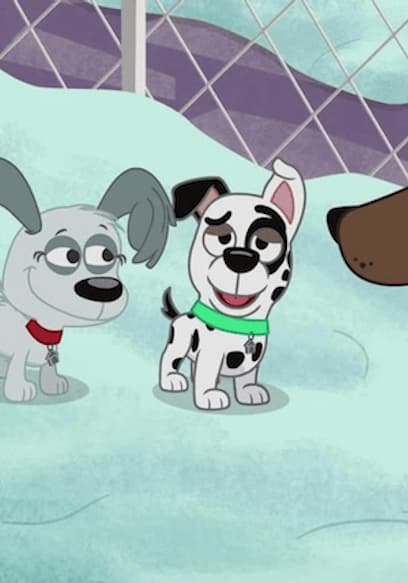 Watch Pound Puppies S02:E13 - I Heard The Barks On C - Free TV Shows | Tubi