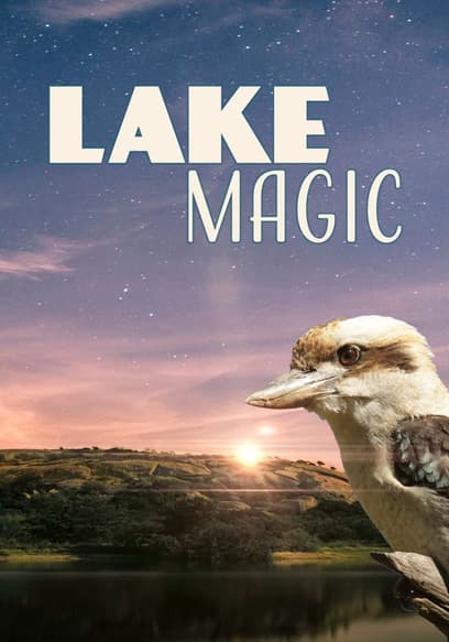 Lake Magic