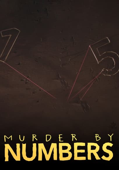 NUMBERS TV SERIES visual data 8