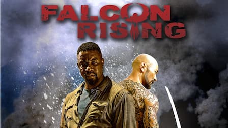 Falcon Rising 2014