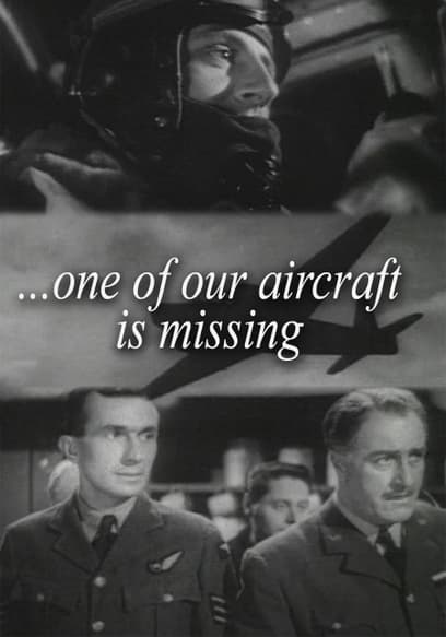 One of Our Aircraft Is Missing