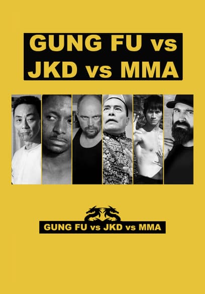 Gung Fu vs JKD vs MMA
