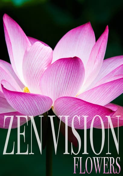 Zen Vision: Flowers