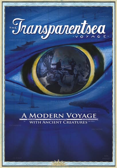 The Transparentsea Voyage